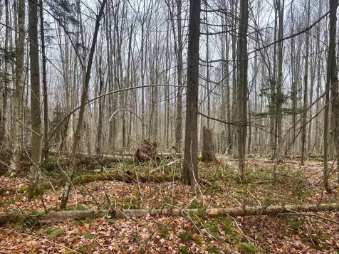 Lot 2 Canaan Hill Road Averill VT 05903