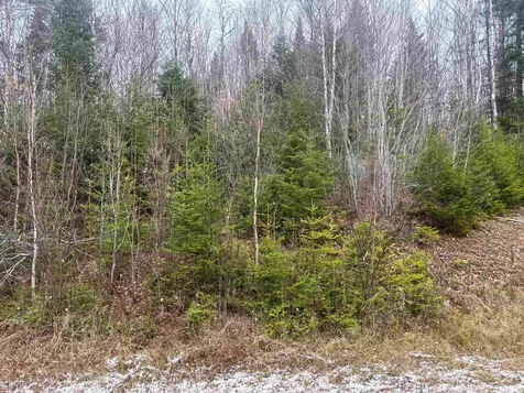 Lot 2 Canaan Hill Road Averill VT 05903
