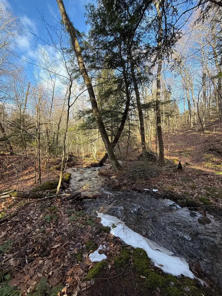 3037 South Lincoln Road Lincoln VT 05443