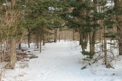 3037 South Lincoln Road Lincoln VT 05443