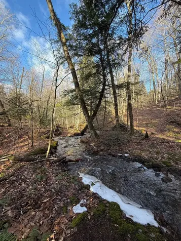 3037 South Lincoln Road Lincoln VT 05443