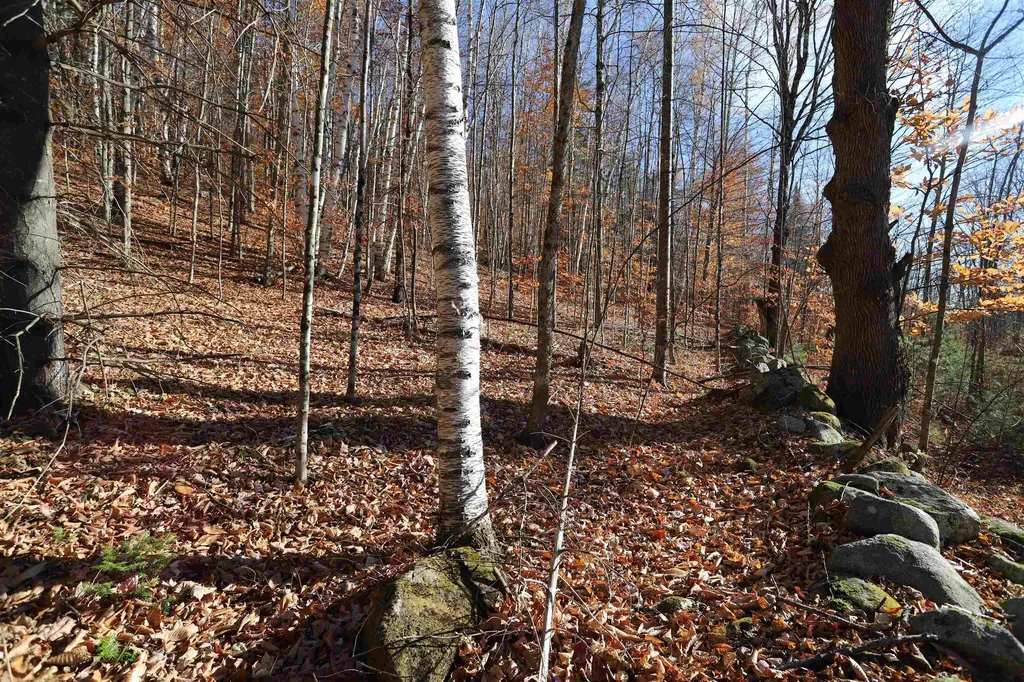 0 Harts Road Topsham VT 05076