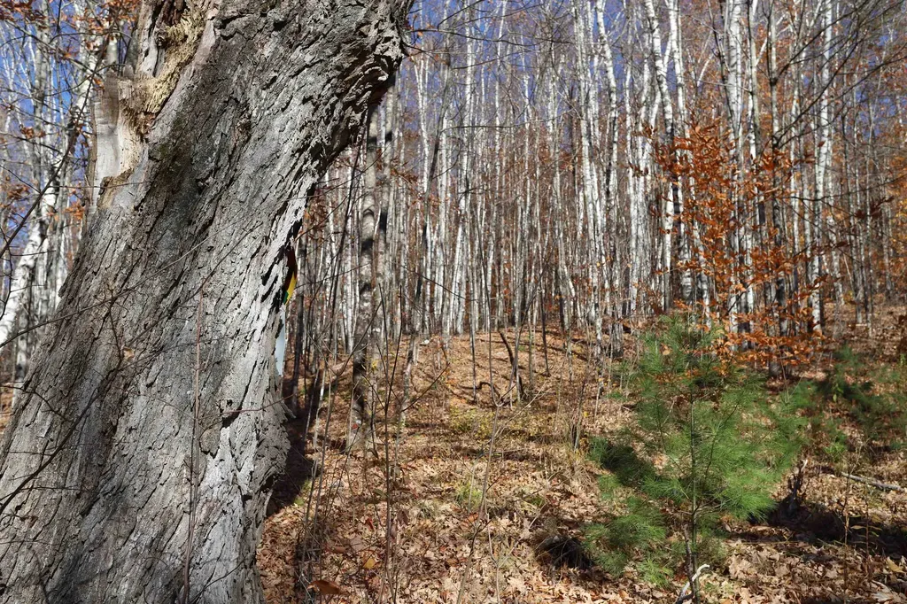 0 Harts Road Topsham VT 05076