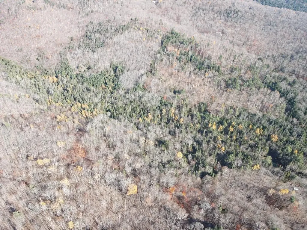 0 Harts Road Topsham VT 05076