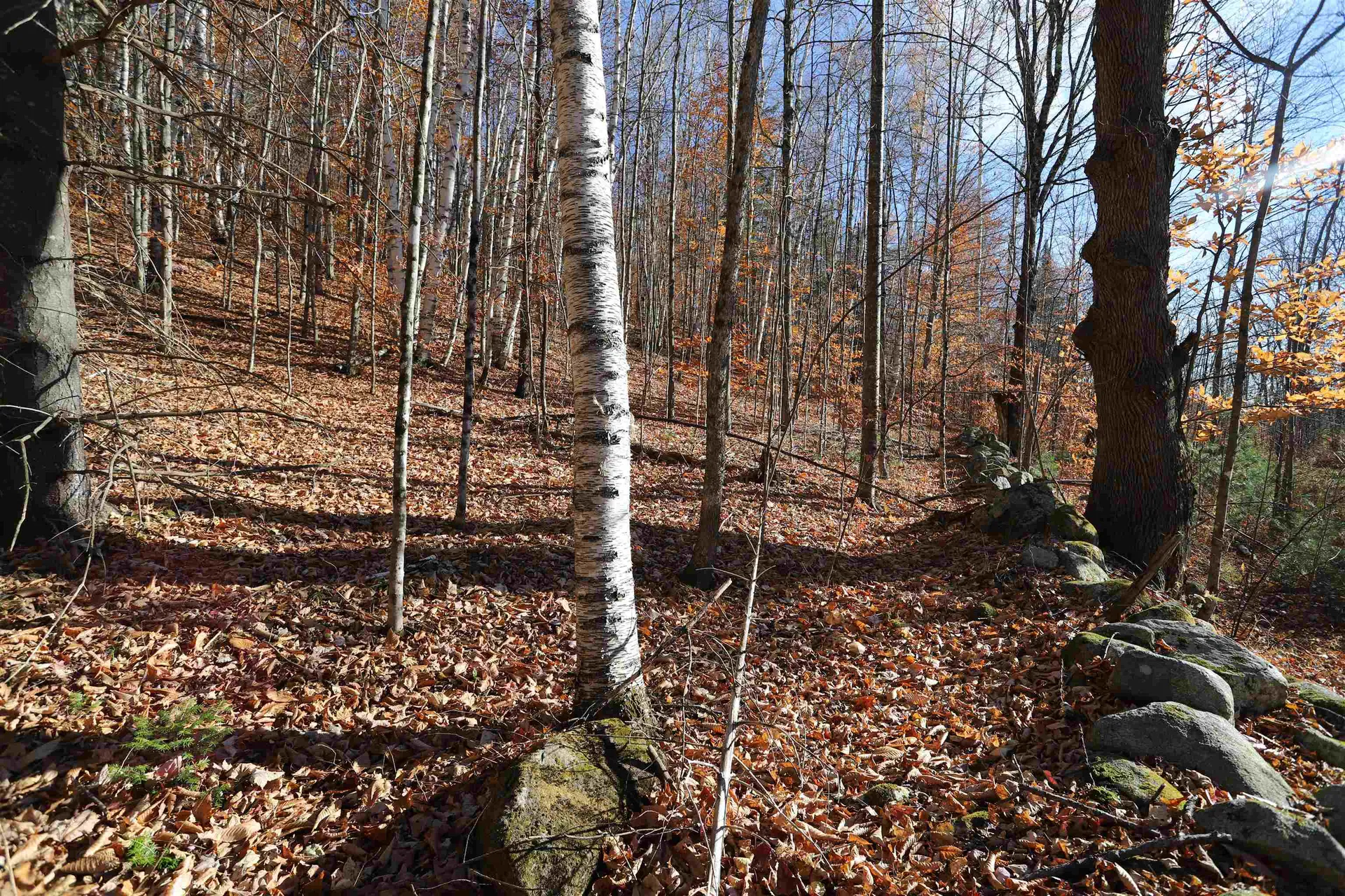 0 Harts Road Topsham VT 05076