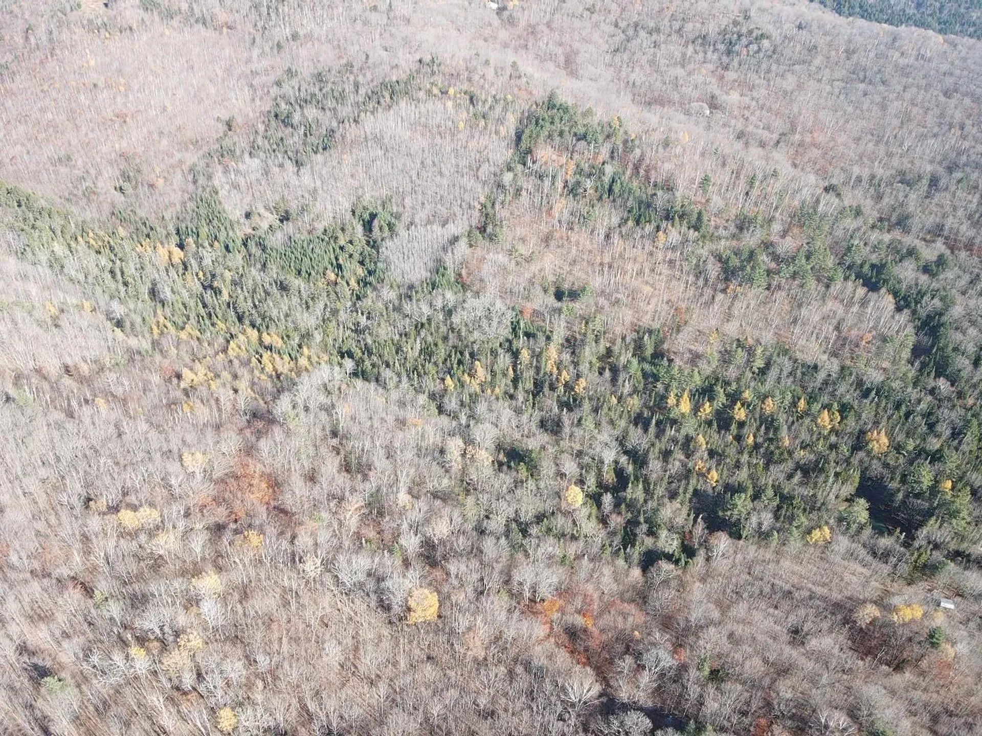 0 Harts Road Topsham VT 05076