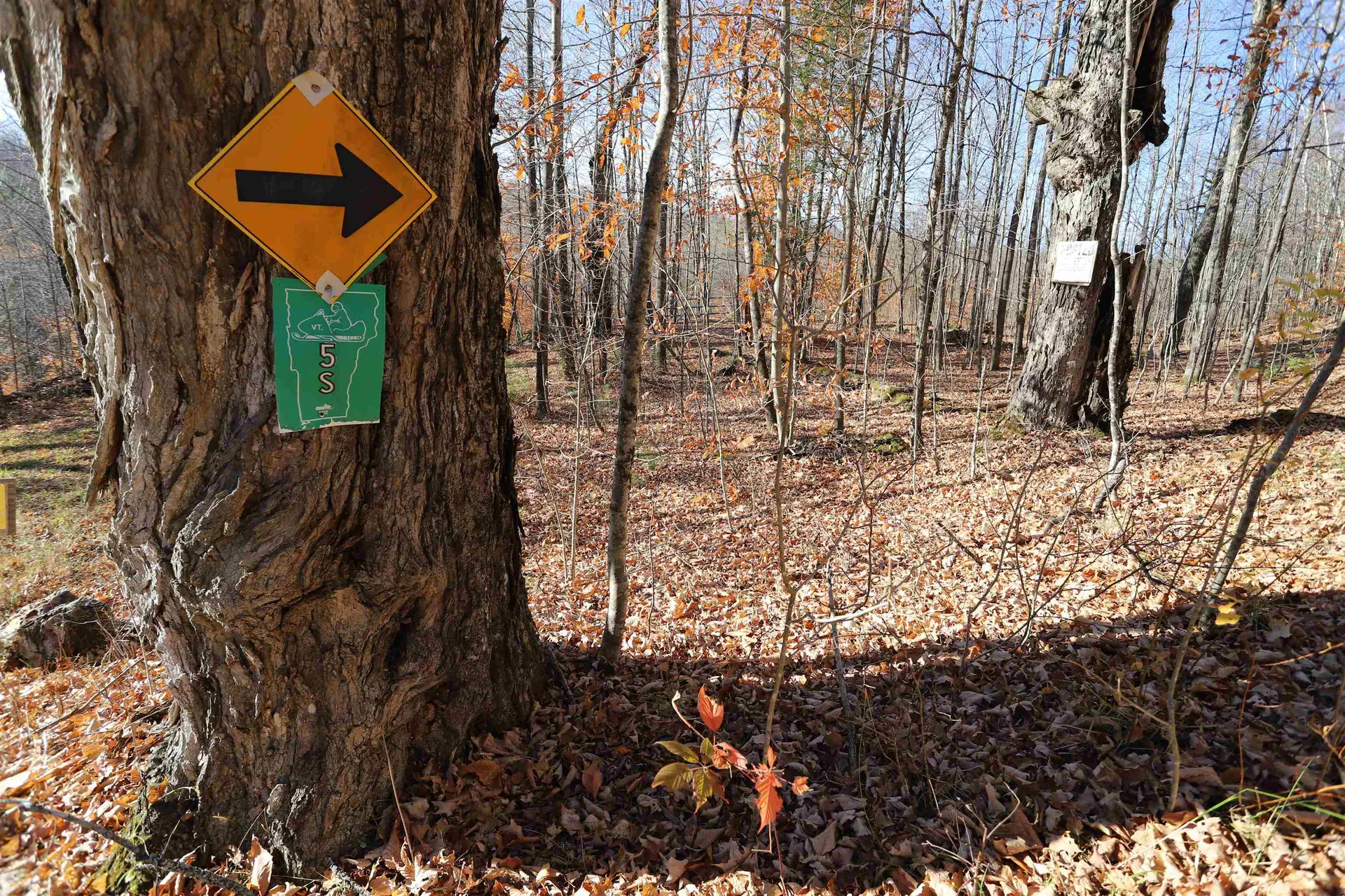 0 Harts Road Topsham VT 05076