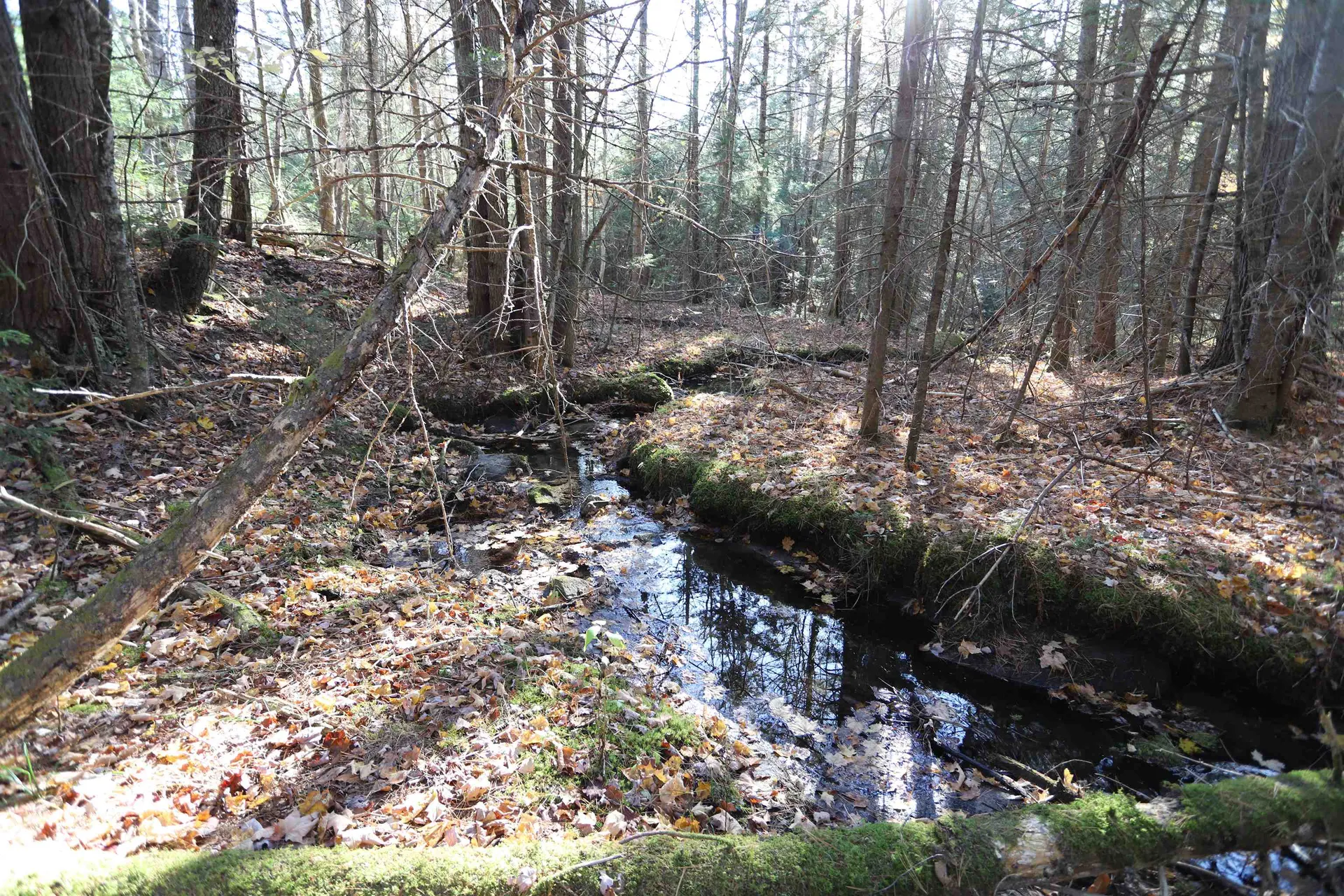 0 Harts Road Topsham VT 05076