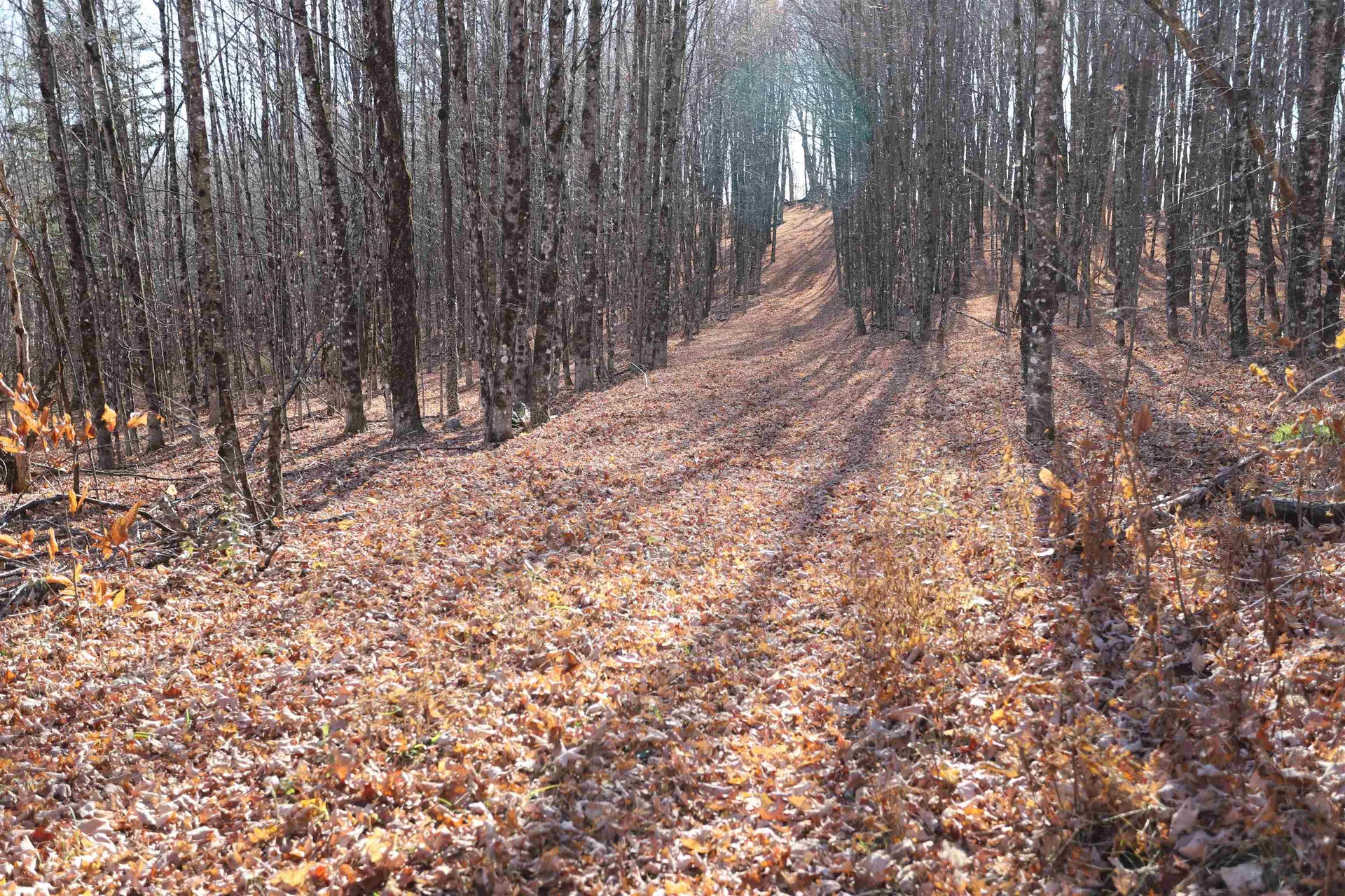 0 Harts Road Topsham VT 05076