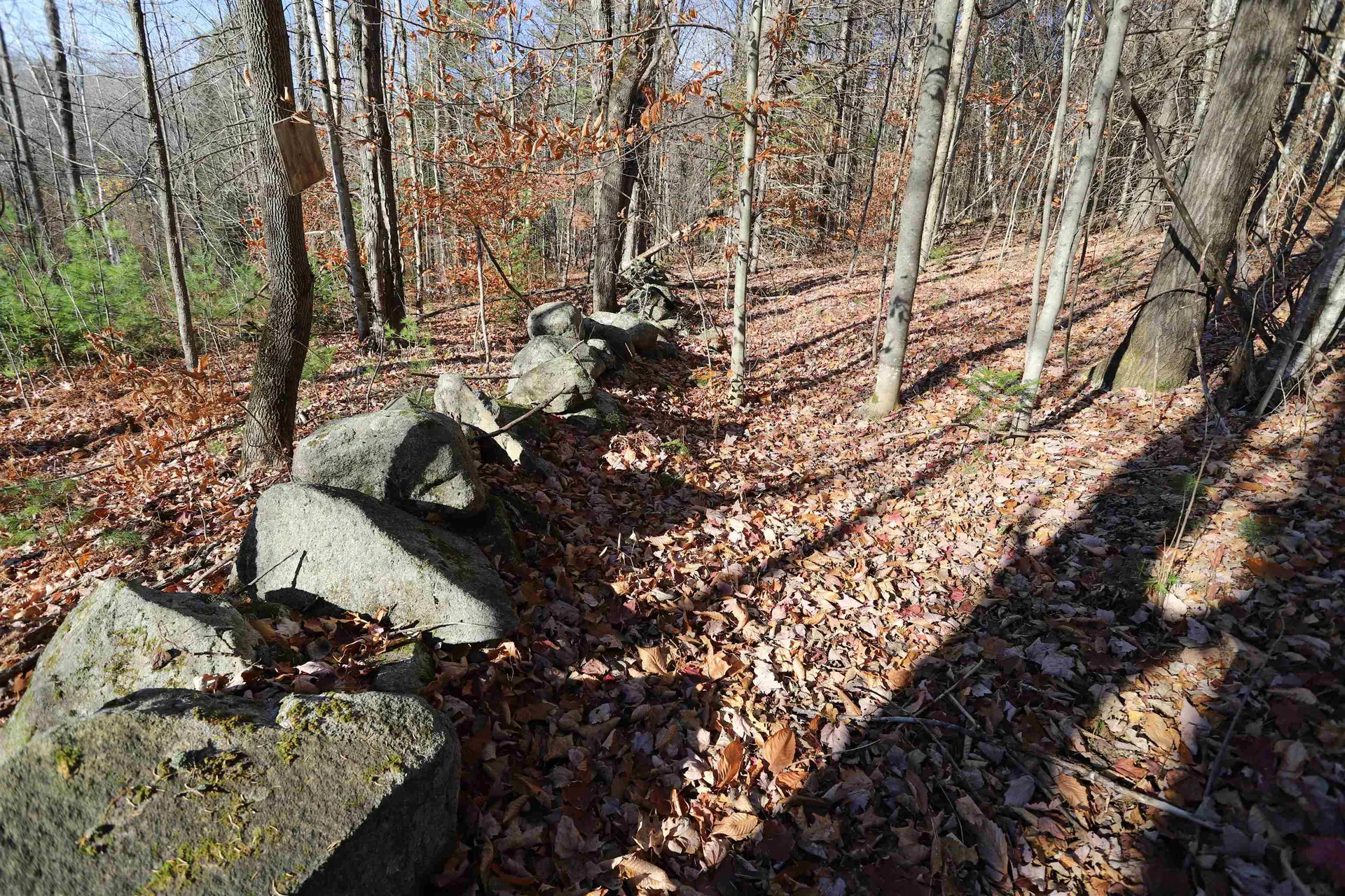 0 Harts Road Topsham VT 05076