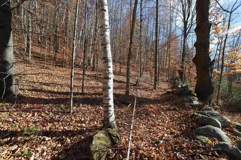 0 Harts Road Topsham VT 05076