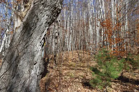 0 Harts Road Topsham VT 05076