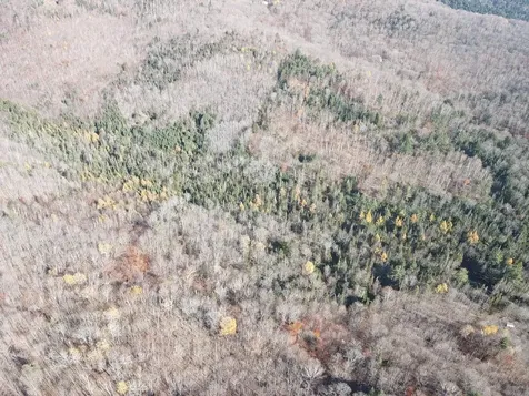 0 Harts Road Topsham VT 05076