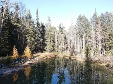 0 Harts Road Topsham VT 05076