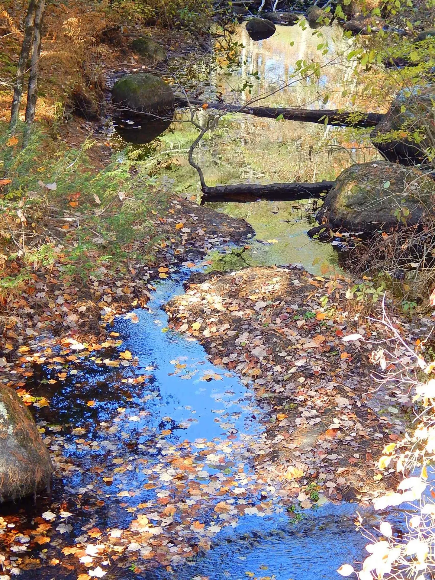 18 Middle Road Deerfield NH 03037