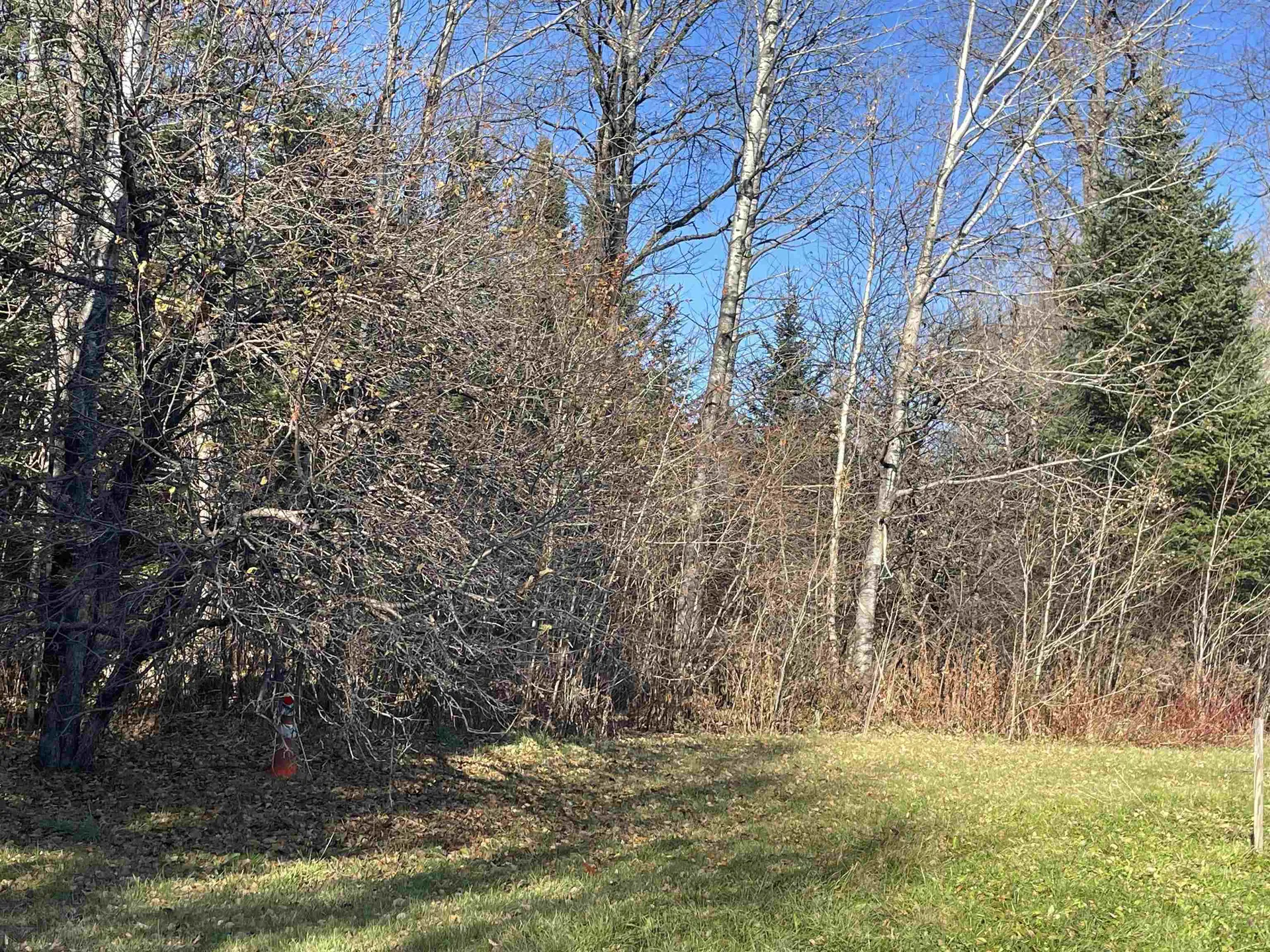 4491 Vermont 114 Norton VT 05907