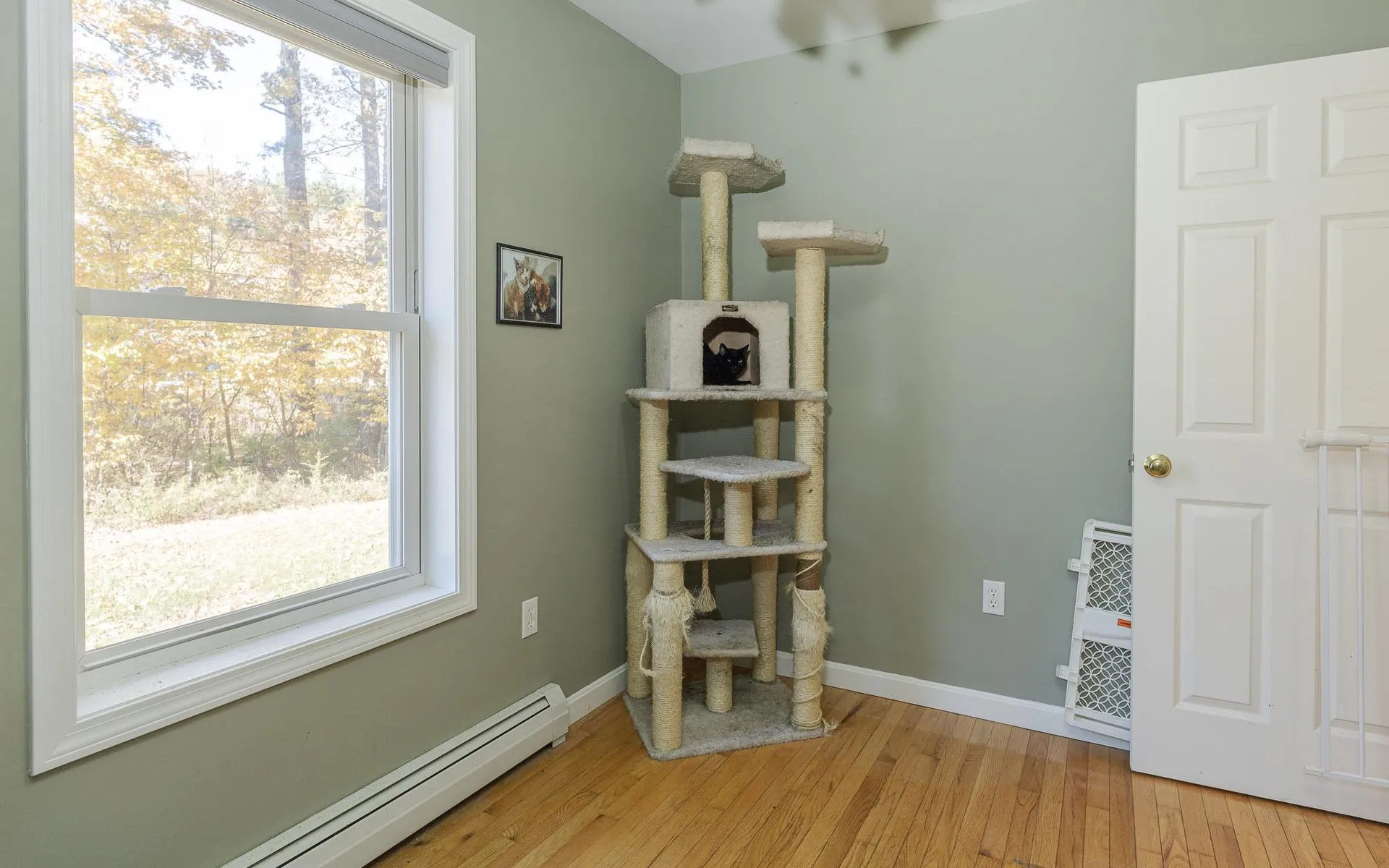 89 River Street Alstead NH 03602