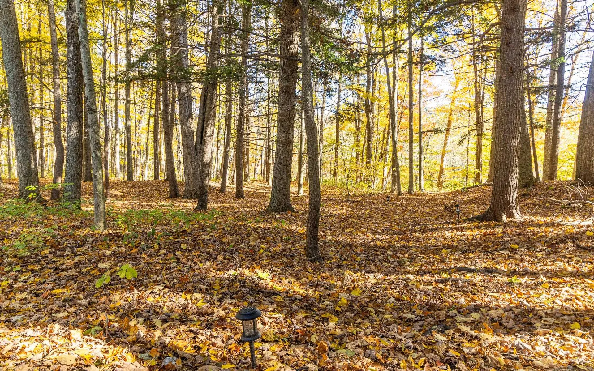 89 River Street Alstead NH 03602