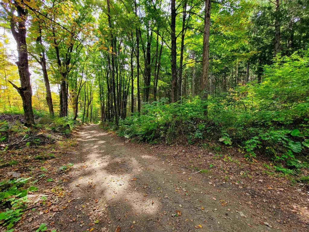 1355 Poor Farm Road Washington VT 05675