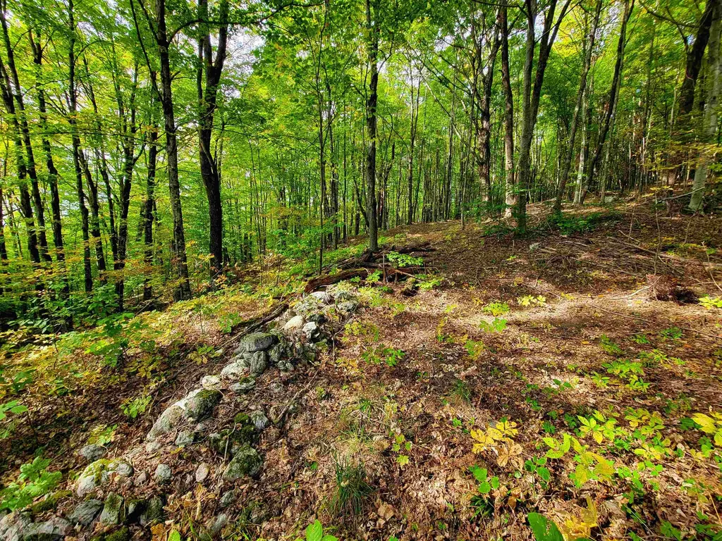 1355 Poor Farm Road Washington VT 05675