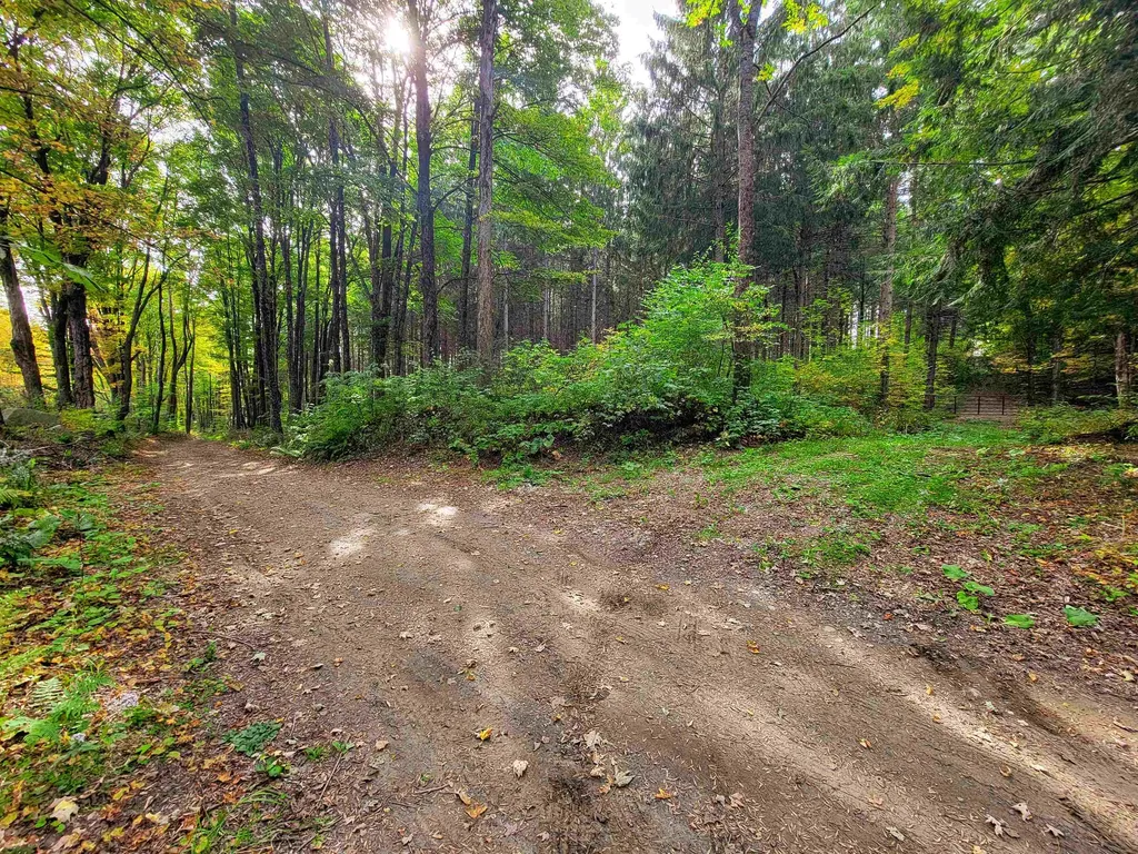 1355 Poor Farm Road Washington VT 05675