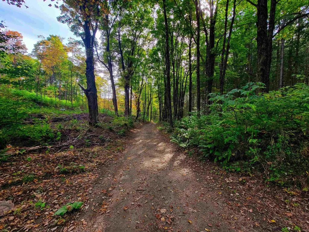 1355 Poor Farm Road Washington VT 05675