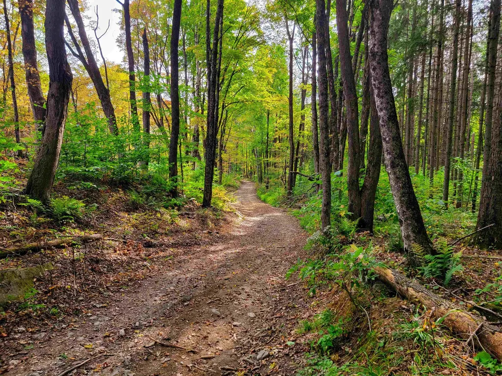 1355 Poor Farm Road Washington VT 05675