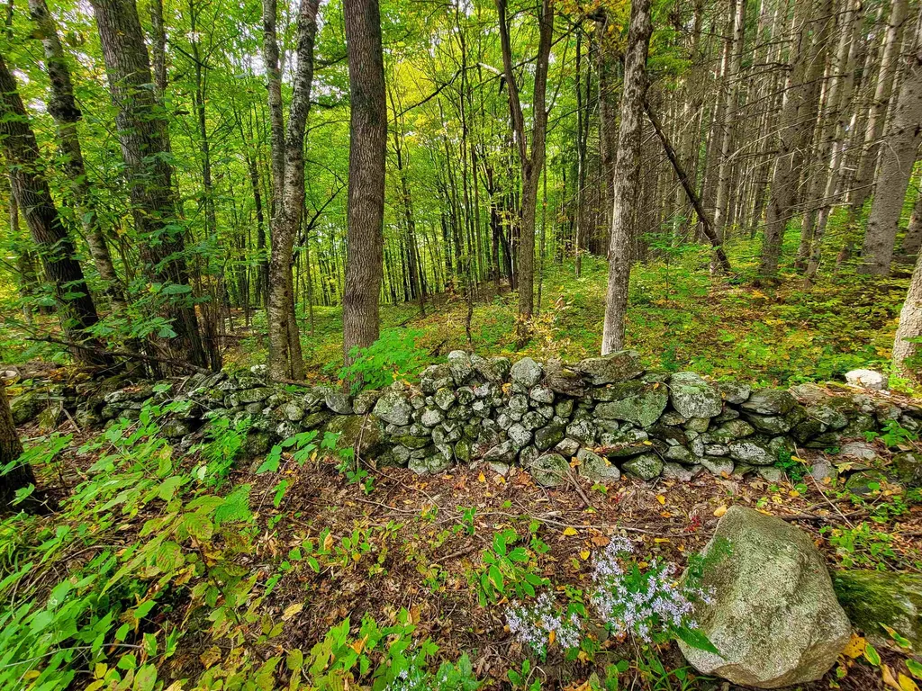 1355 Poor Farm Road Washington VT 05675