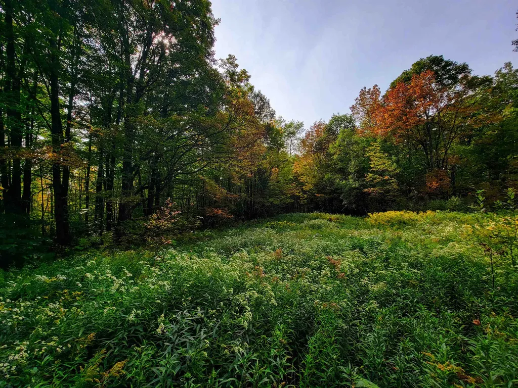 1355 Poor Farm Road Washington VT 05675