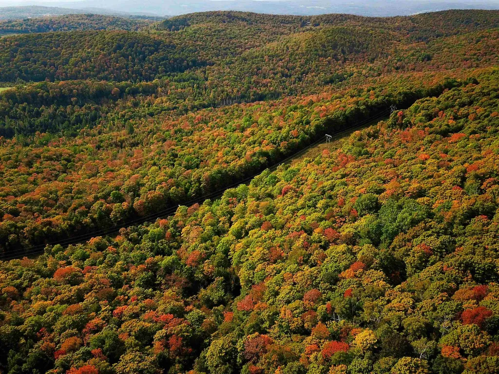 1355 Poor Farm Road Washington VT 05675