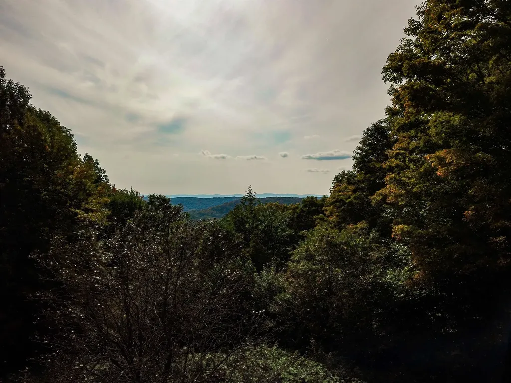 1355 Poor Farm Road Washington VT 05675