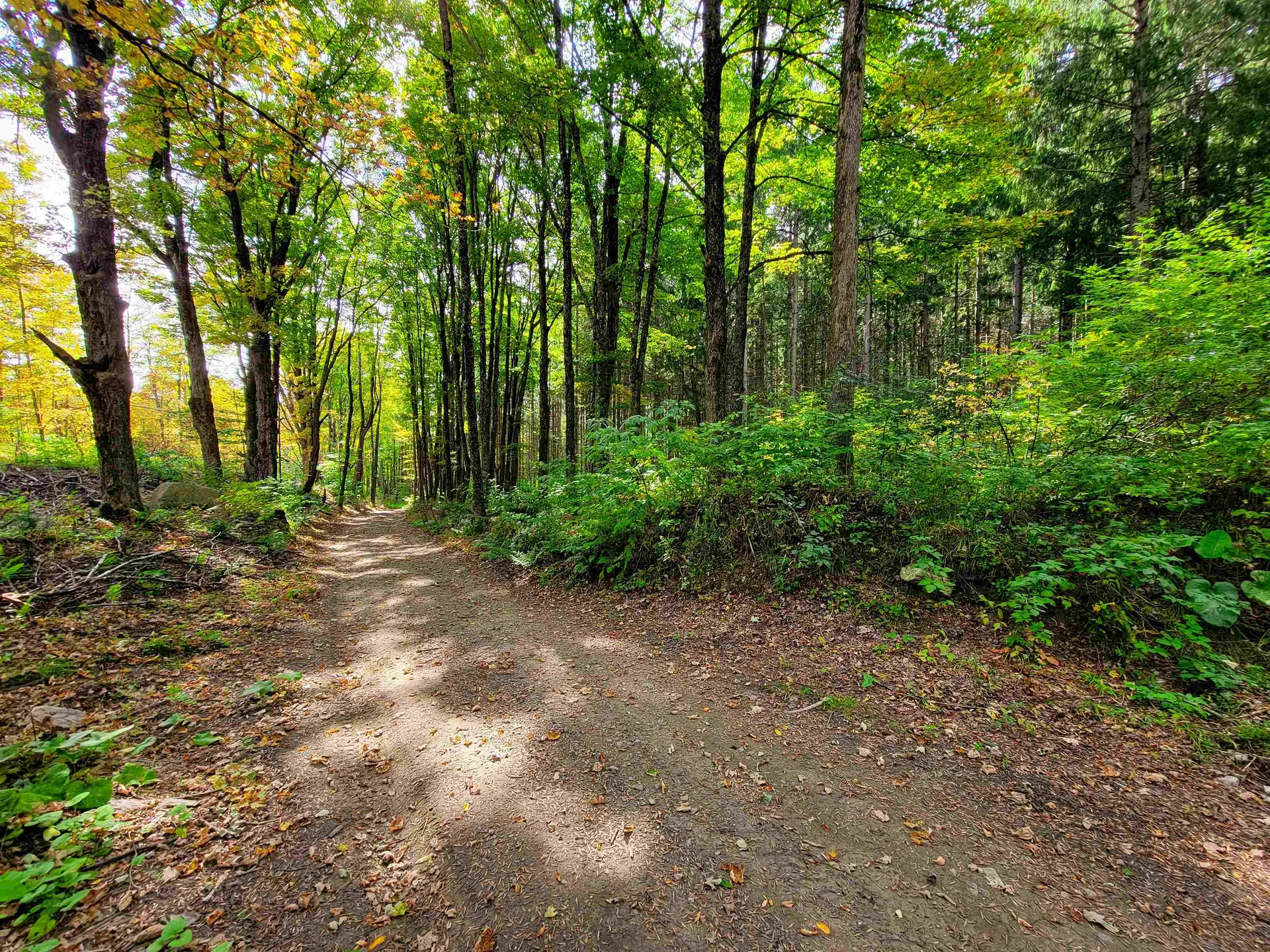 1355 Poor Farm Road Washington VT 05675