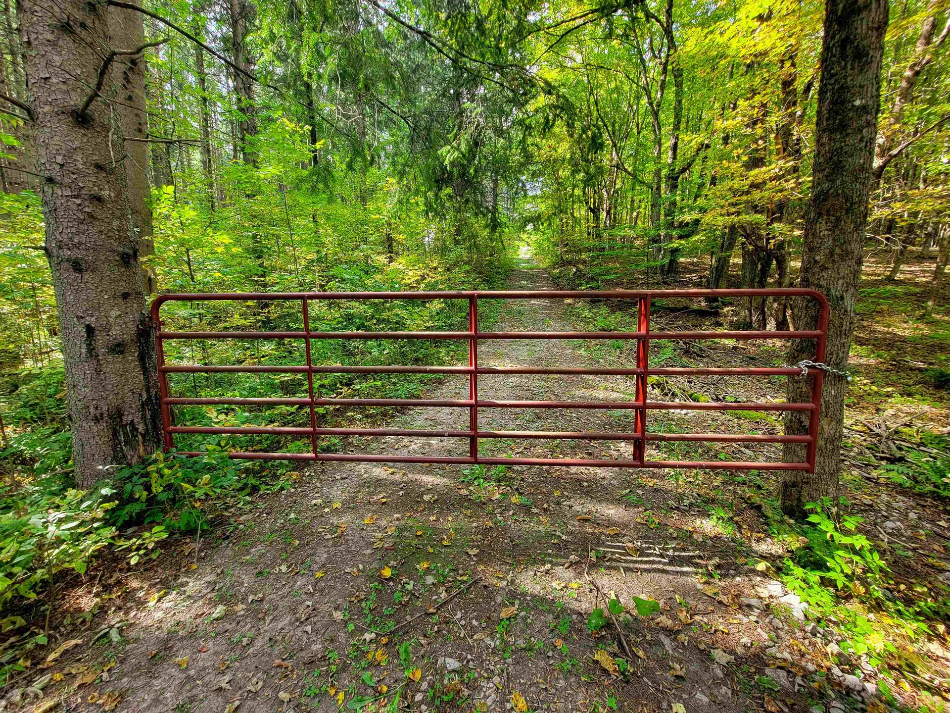 1355 Poor Farm Road Washington VT 05675