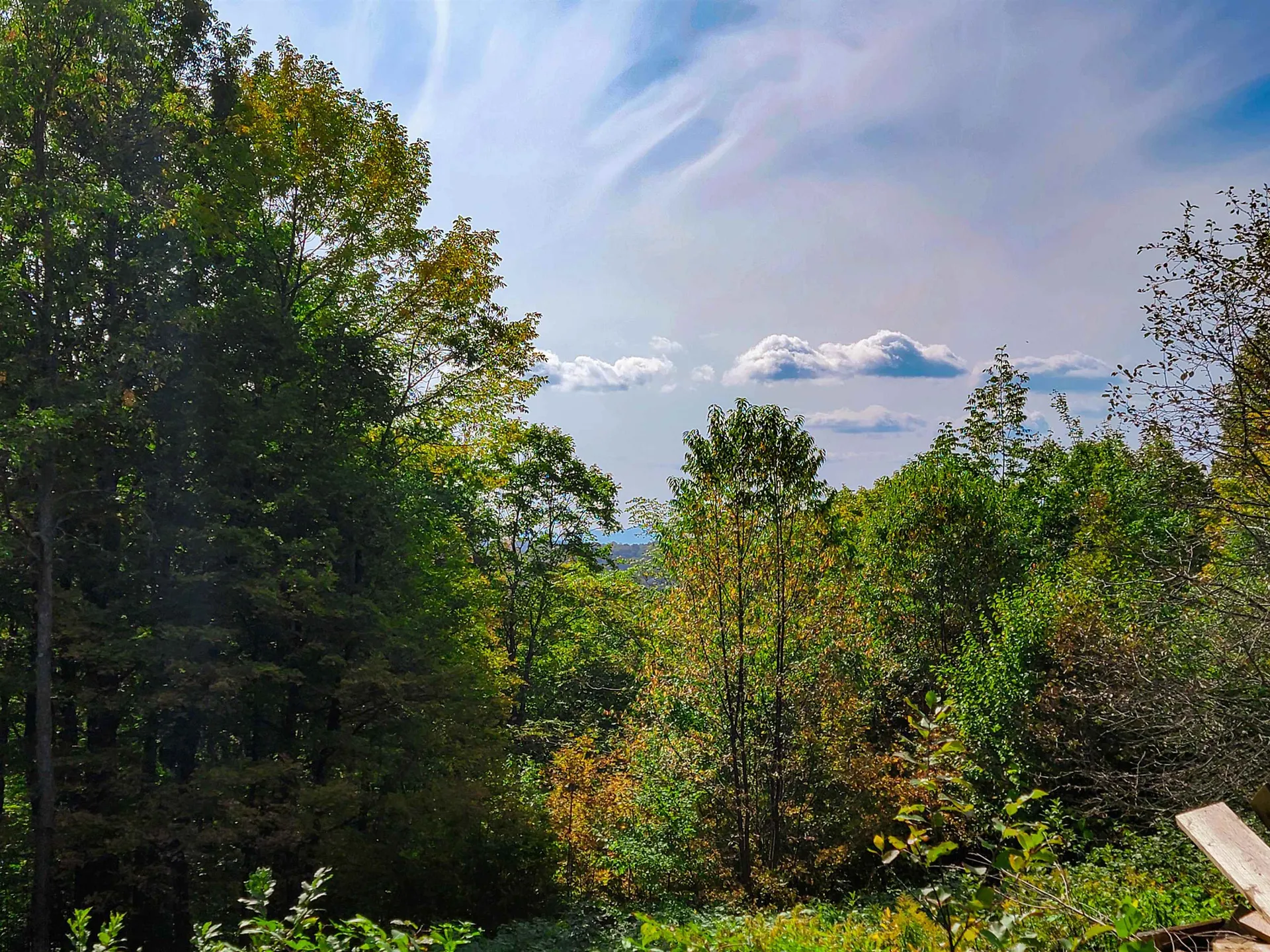 1355 Poor Farm Road Washington VT 05675