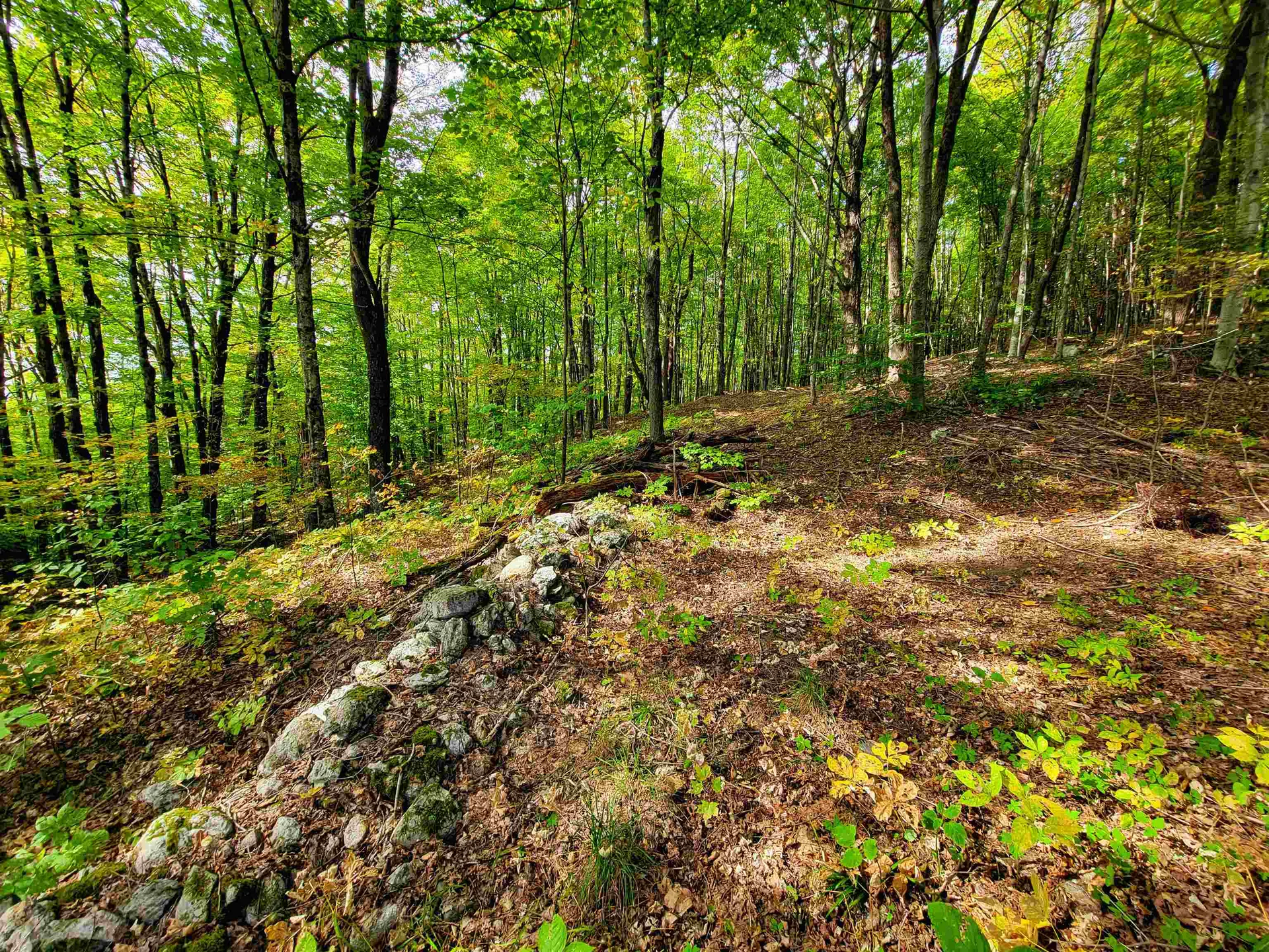 1355 Poor Farm Road Washington VT 05675