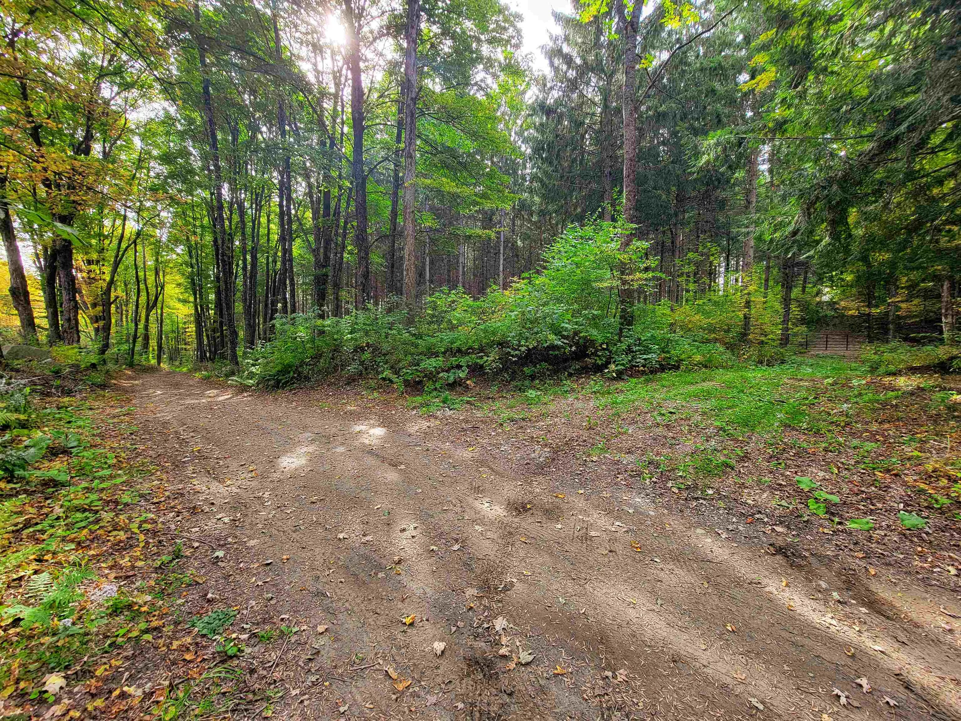 1355 Poor Farm Road Washington VT 05675