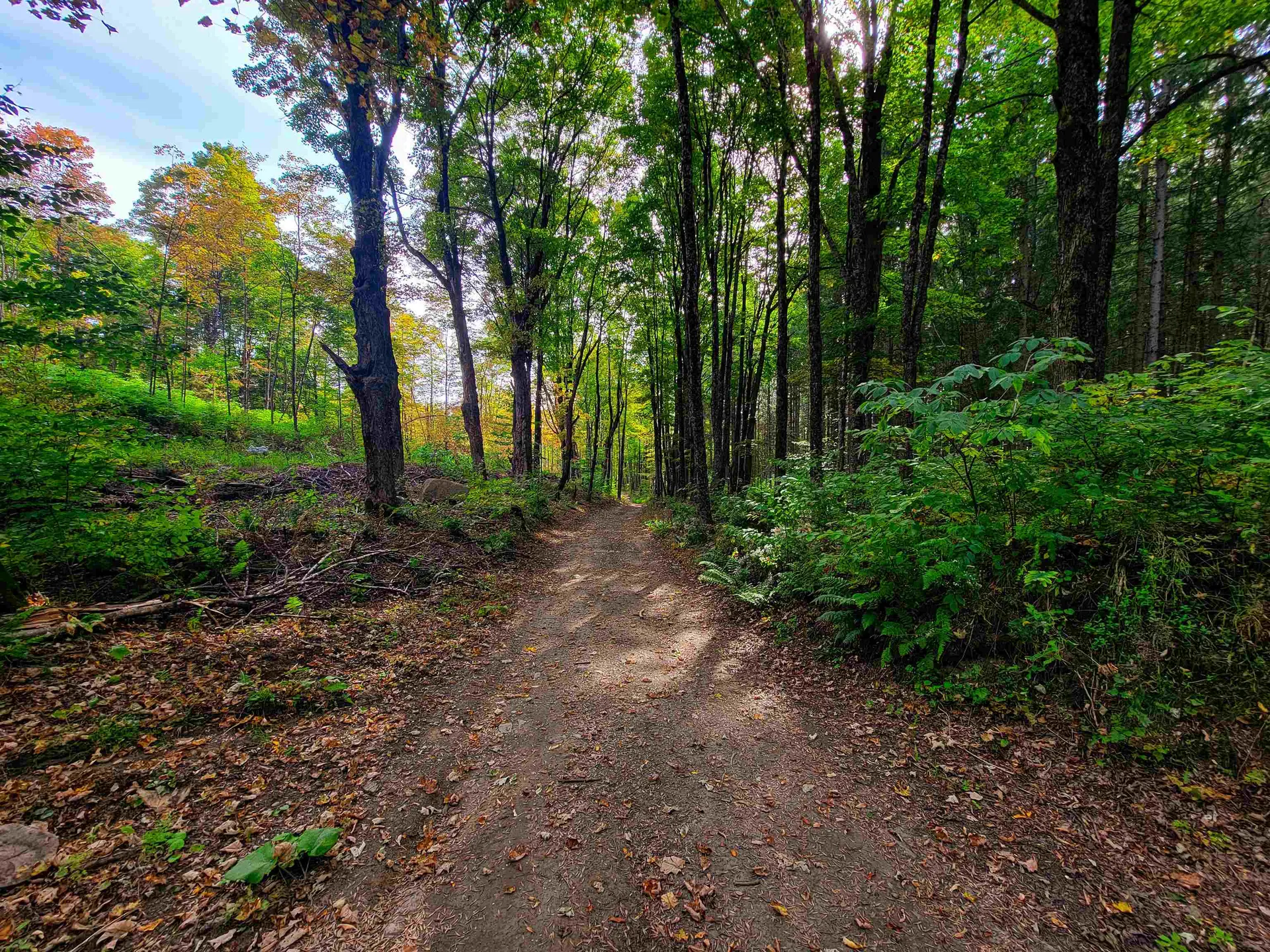 1355 Poor Farm Road Washington VT 05675