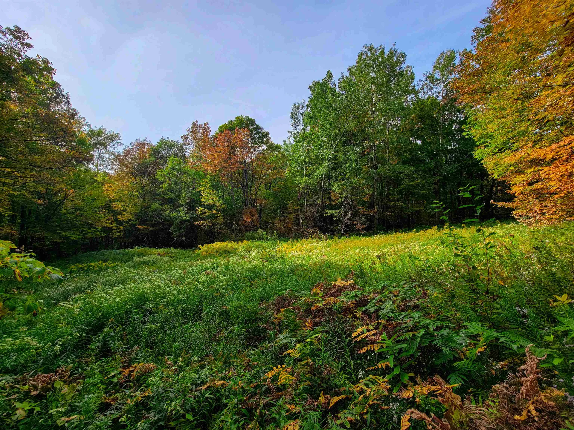 1355 Poor Farm Road Washington VT 05675