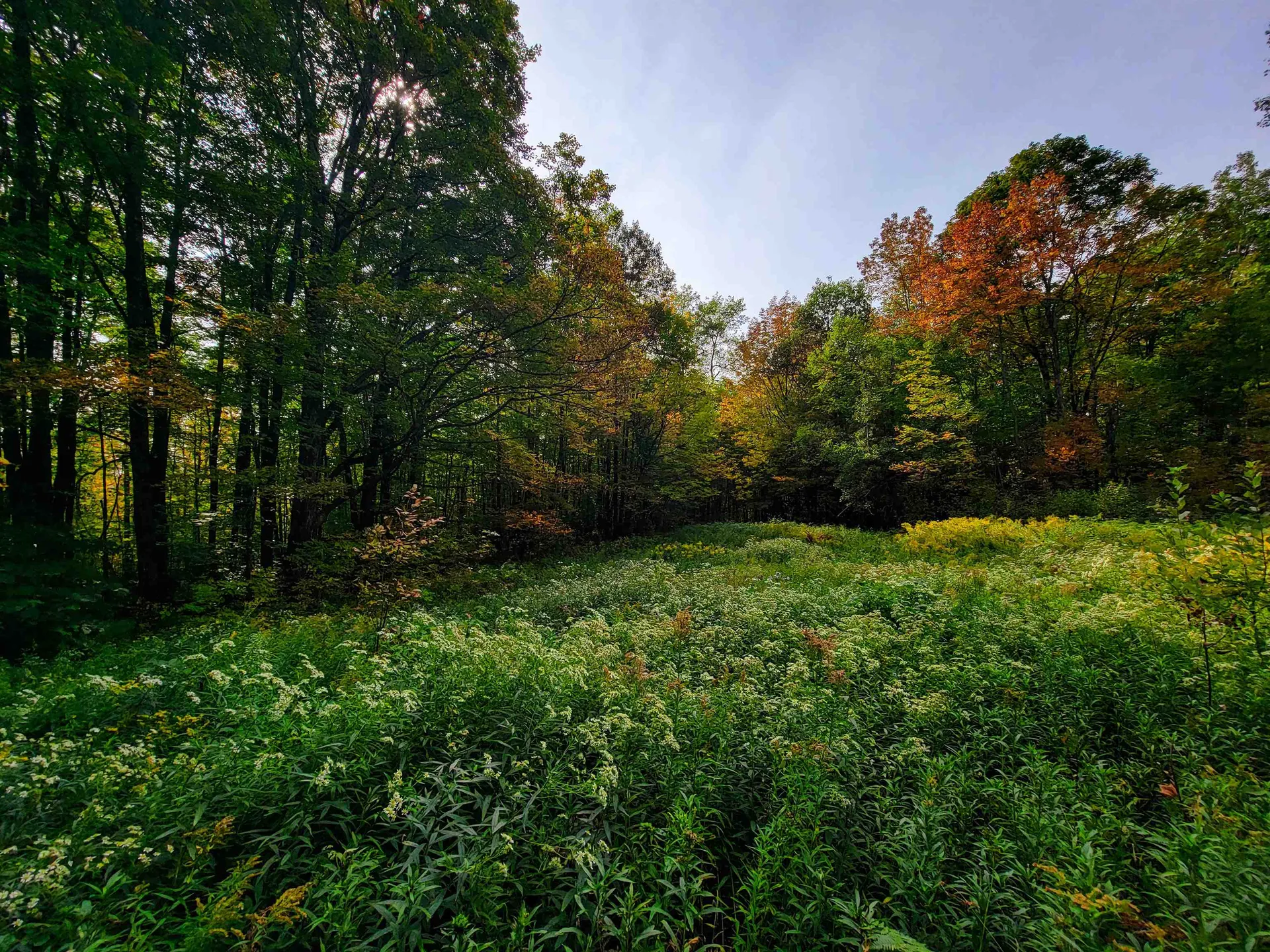 1355 Poor Farm Road Washington VT 05675