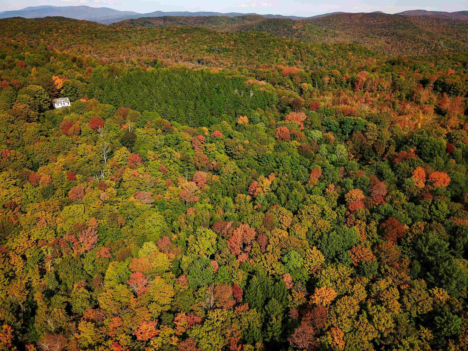 1355 Poor Farm Road Washington VT 05675