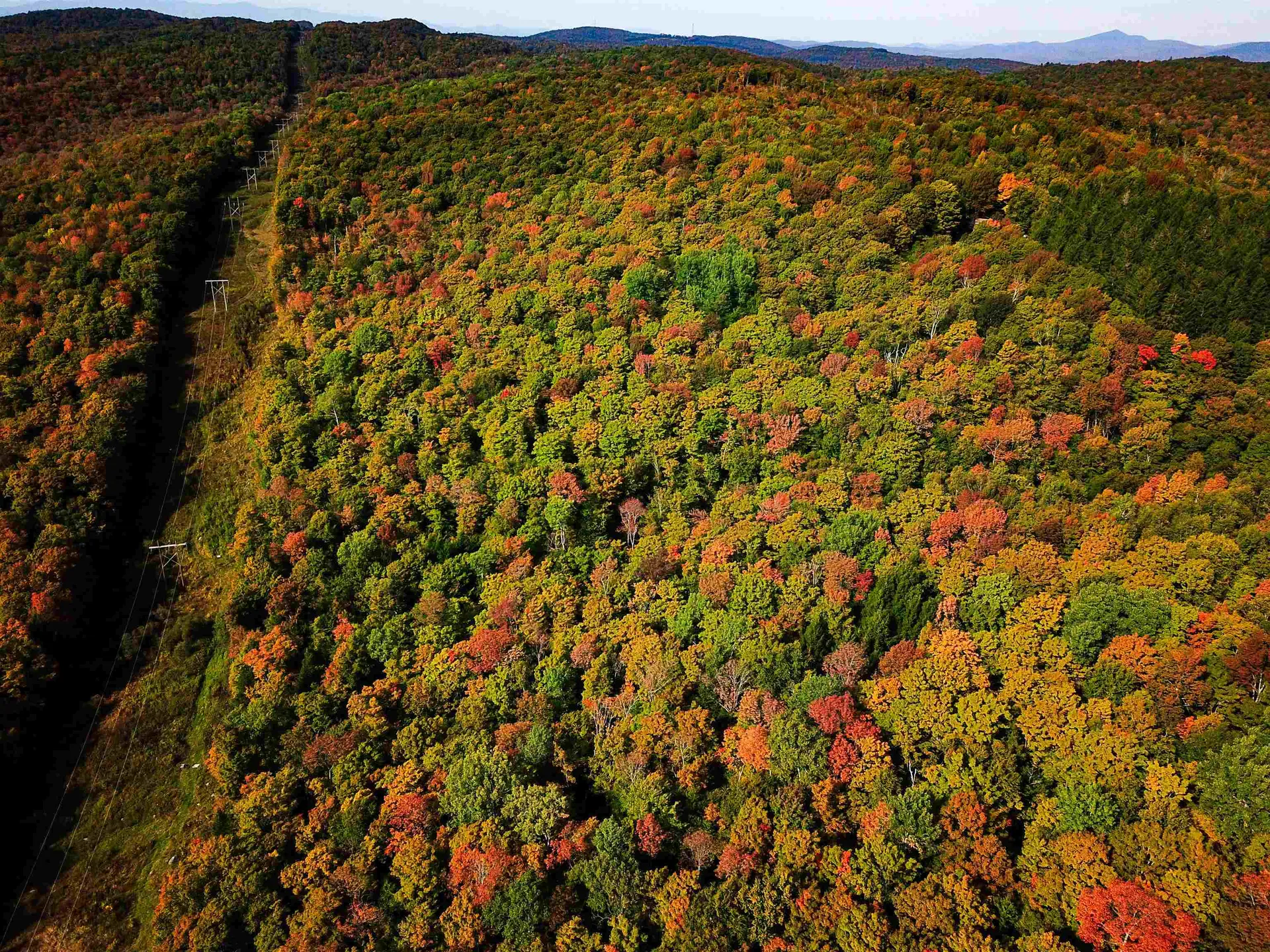 1355 Poor Farm Road Washington VT 05675