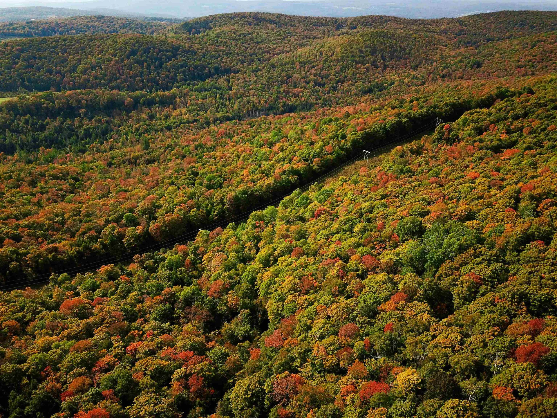 1355 Poor Farm Road Washington VT 05675