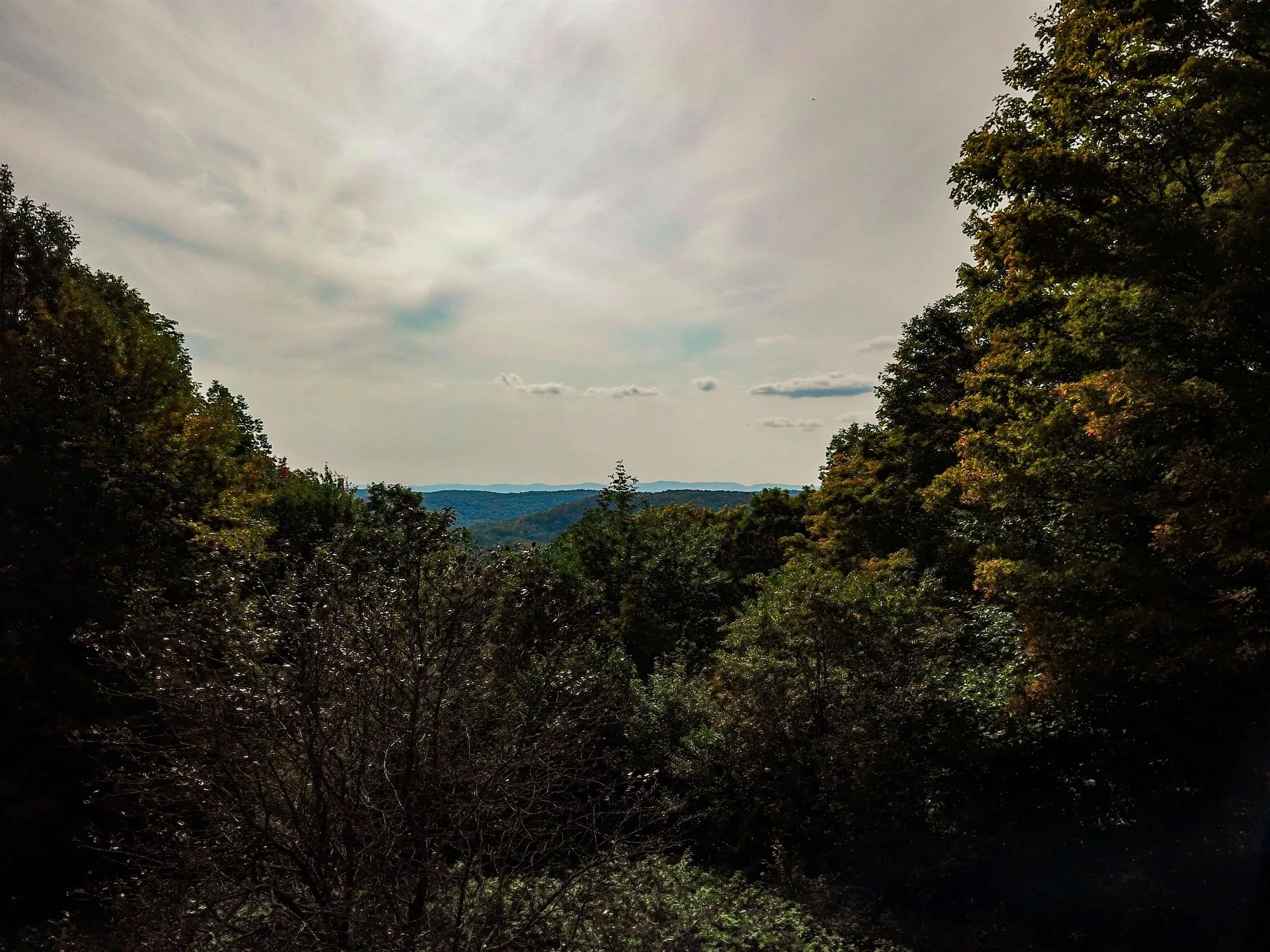 1355 Poor Farm Road Washington VT 05675