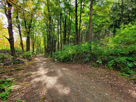 1355 Poor Farm Road Washington VT 05675