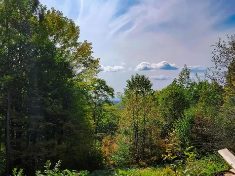 1355 Poor Farm Road Washington VT 05675