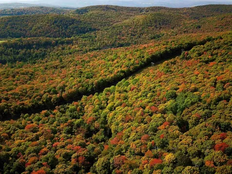 1355 Poor Farm Road Washington VT 05675