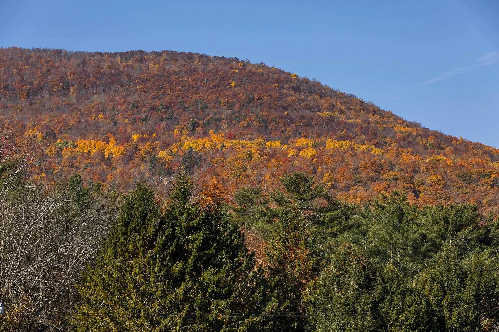 3160 Vermont Route 7a Arlington VT 05250