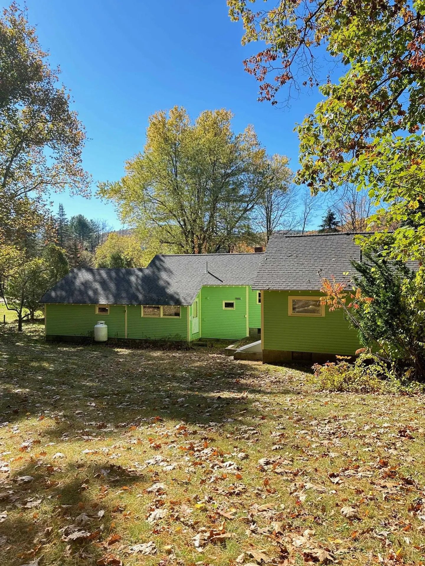 231 Sawdust Alley Townshend VT 05353