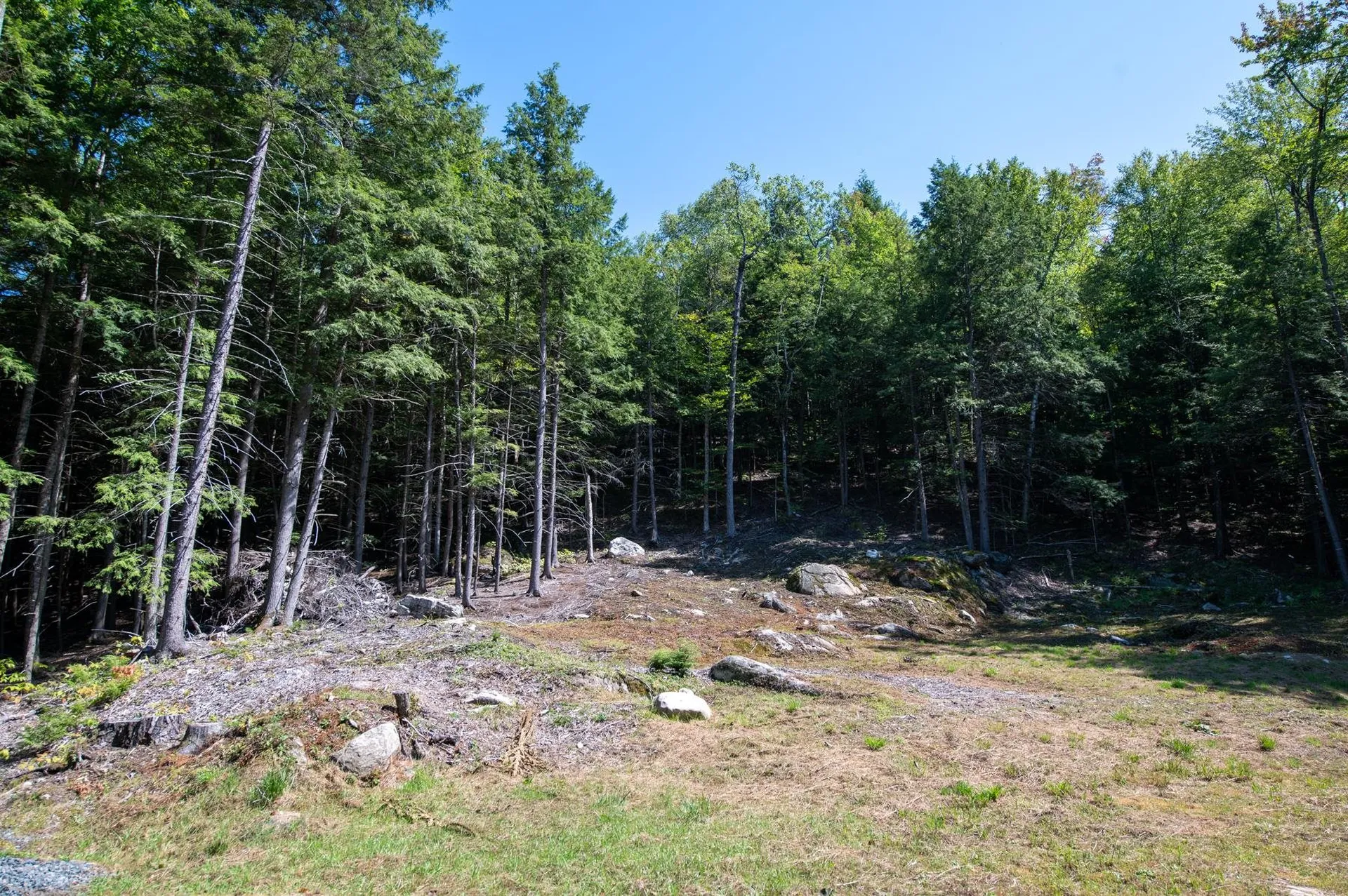 63 Reynolds Lane Jamaica VT 05343