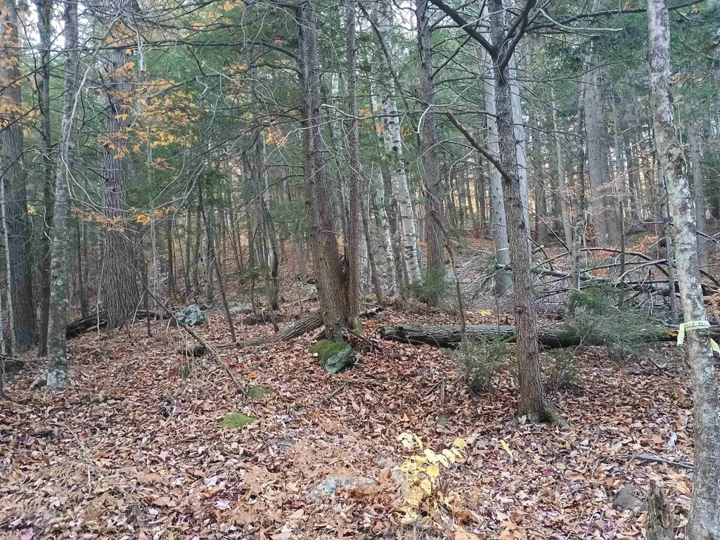 Map 234 Lot 4 Nye Road Acworth NH 03601